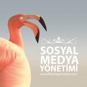 SOSYAL-MEDYA-YÖNETİMİ